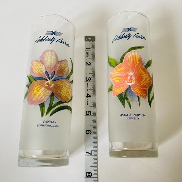 Vintage Celebrity Cruises Floral Frosted Cocktail Glasses - Set of 2 - Picture 4 of 13